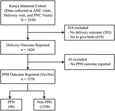 Prediction of postpartum hemorrhage (PPH) using machine learning algorithms in a Kenyan population